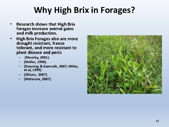 Why High Brix in Forages? • Research shows that High Brix forages increase animal