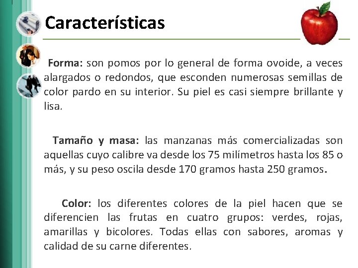 Características Forma: son pomos por lo general de forma ovoide, a veces alargados o