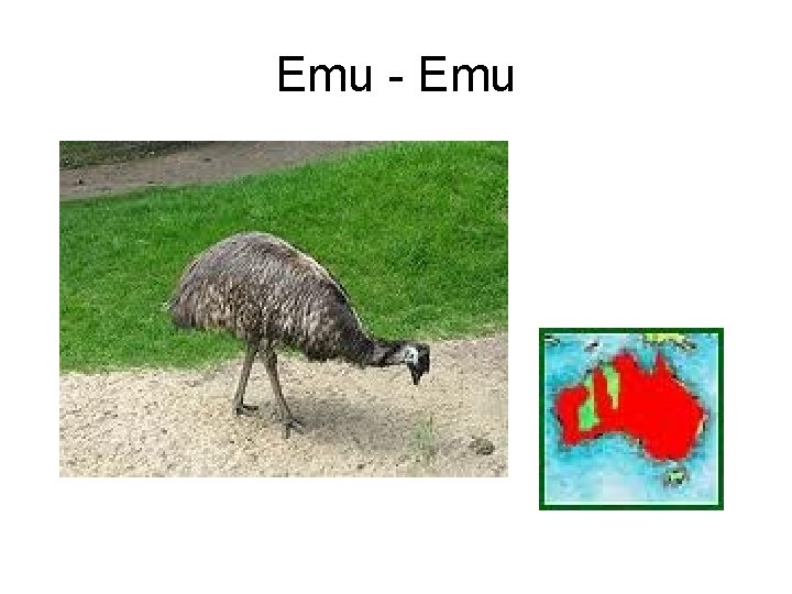 Emu - Emu 