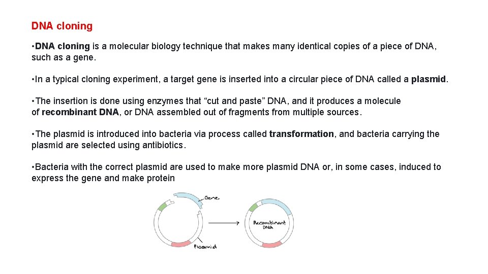 DNA cloning • DNA cloning is a molecular biology technique that makes many identical