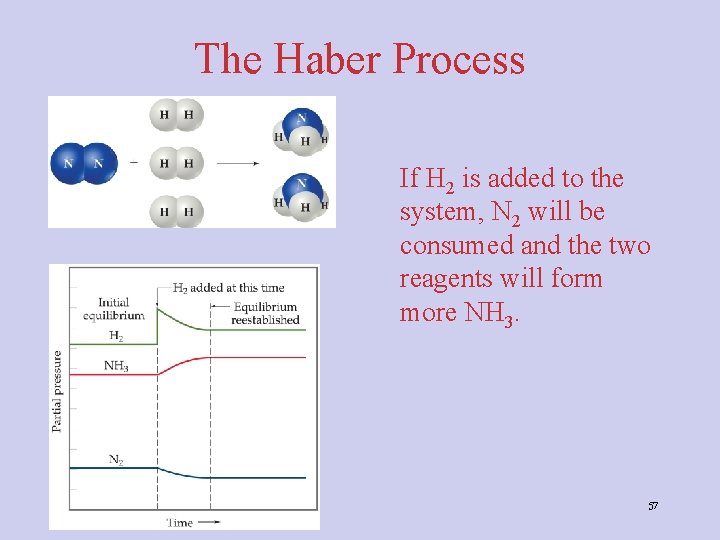 The Haber Process If H 2 is added to the system, N 2 will The Haber Process If H 2 is added to the system, N 2 will