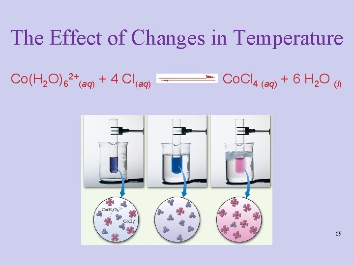 The Effect of Changes in Temperature Co(H 2 O)62+(aq) + 4 Cl(aq) Co. Cl The Effect of Changes in Temperature Co(H 2 O)62+(aq) + 4 Cl(aq) Co. Cl