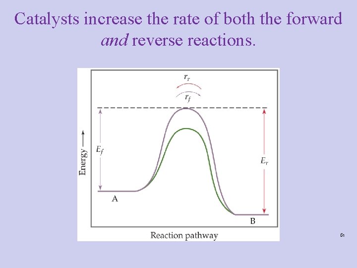 Catalysts increase the rate of both the forward and reverse reactions. 61 Catalysts increase the rate of both the forward and reverse reactions. 61
