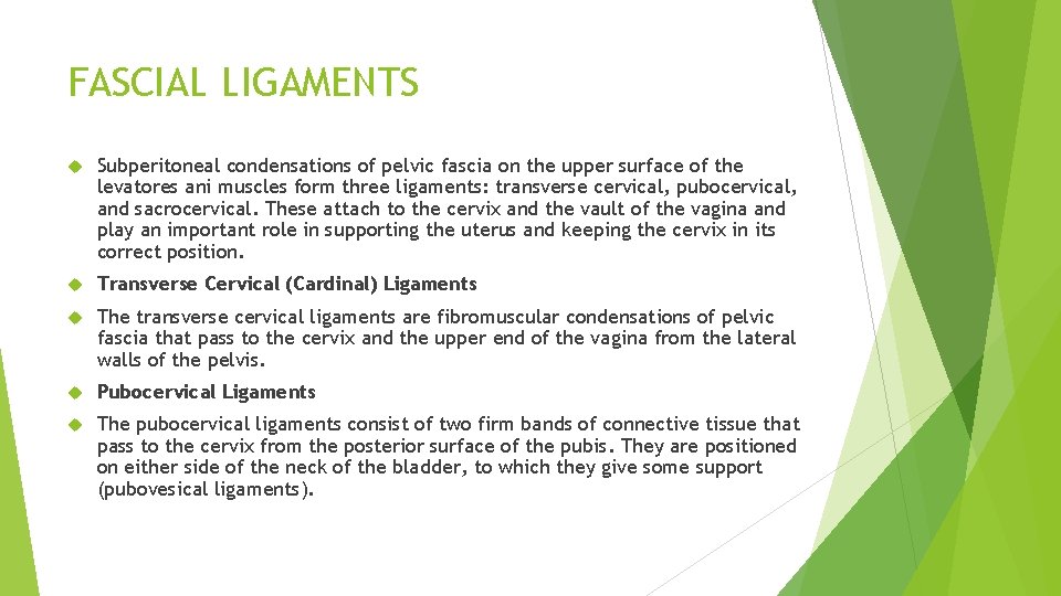 FASCIAL LIGAMENTS Subperitoneal condensations of pelvic fascia on the upper surface of the levatores FASCIAL LIGAMENTS Subperitoneal condensations of pelvic fascia on the upper surface of the levatores