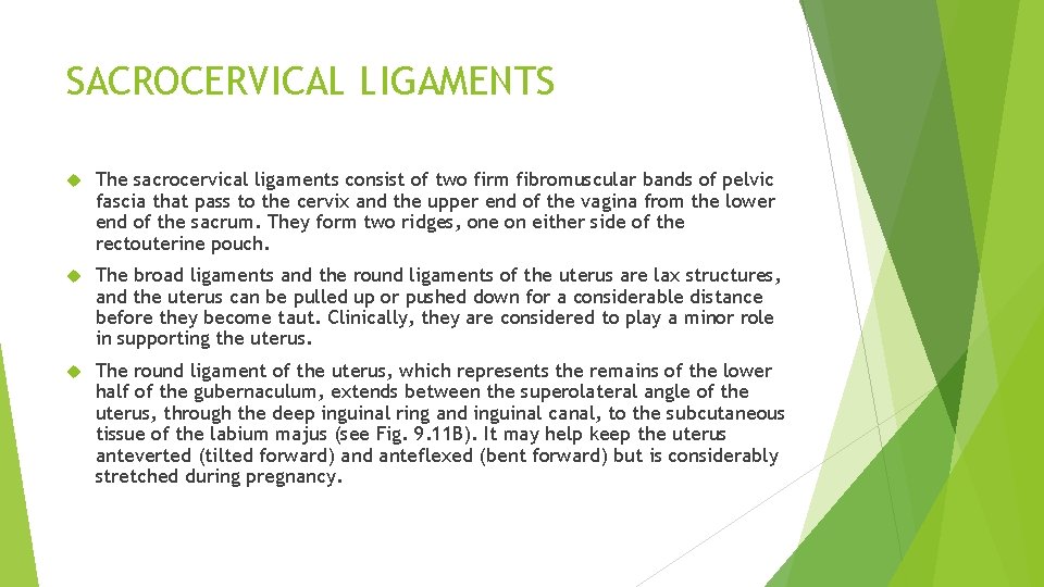 SACROCERVICAL LIGAMENTS The sacrocervical ligaments consist of two firm fibromuscular bands of pelvic fascia SACROCERVICAL LIGAMENTS The sacrocervical ligaments consist of two firm fibromuscular bands of pelvic fascia