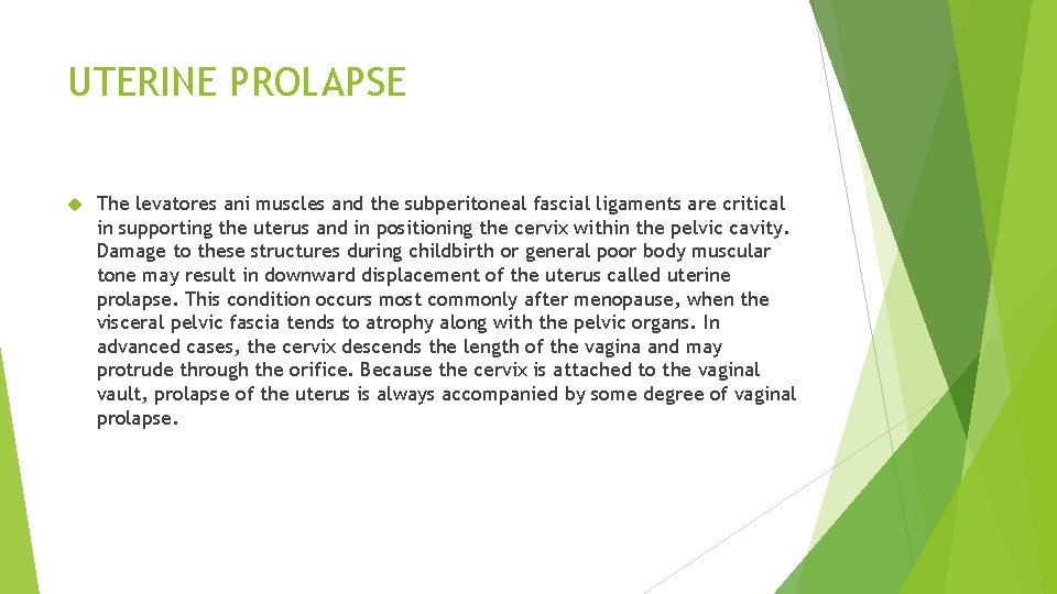 UTERINE PROLAPSE The levatores ani muscles and the subperitoneal fascial ligaments are critical in UTERINE PROLAPSE The levatores ani muscles and the subperitoneal fascial ligaments are critical in