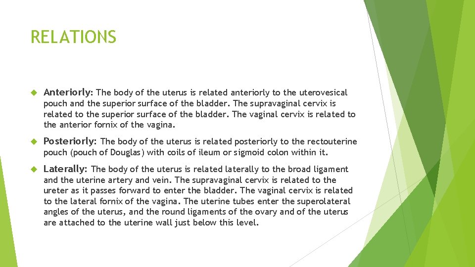 RELATIONS Anteriorly: The body of the uterus is related anteriorly to the uterovesical pouch RELATIONS Anteriorly: The body of the uterus is related anteriorly to the uterovesical pouch