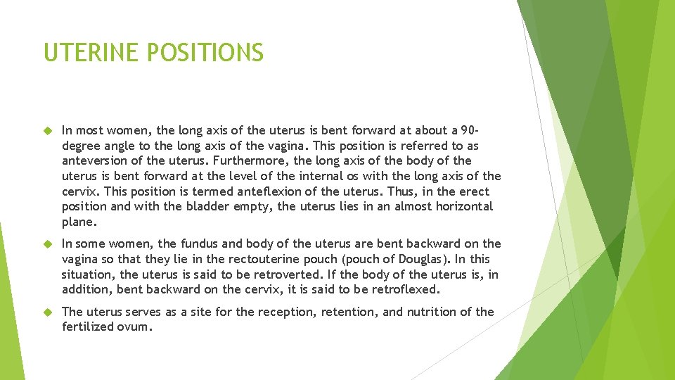 UTERINE POSITIONS In most women, the long axis of the uterus is bent forward UTERINE POSITIONS In most women, the long axis of the uterus is bent forward