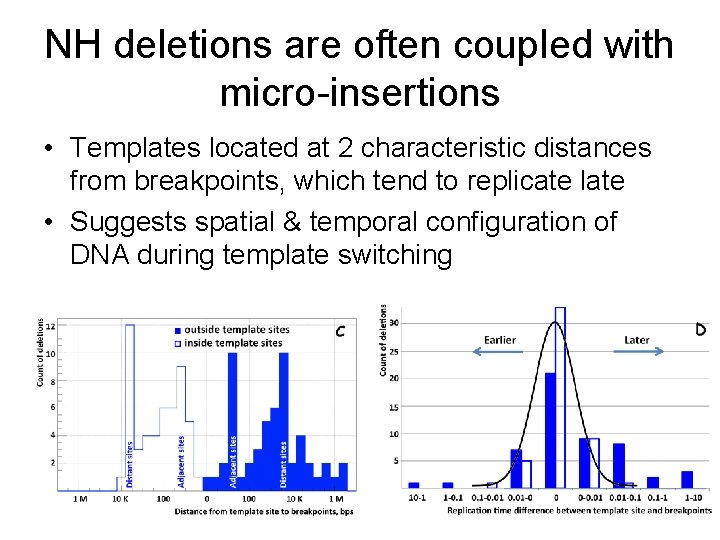 NH deletions are often coupled with micro-insertions • Templates located at 2 characteristic distances