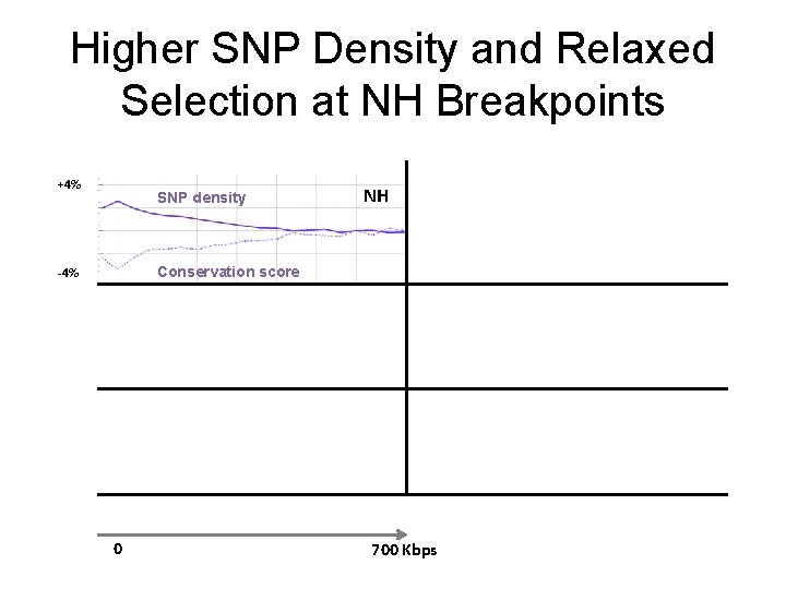 Higher SNP Density and Relaxed Selection at NH Breakpoints +4% SNP density NH Conservation