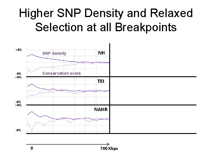 Higher SNP Density and Relaxed Selection at all Breakpoints +4% SNP density NH Conservation