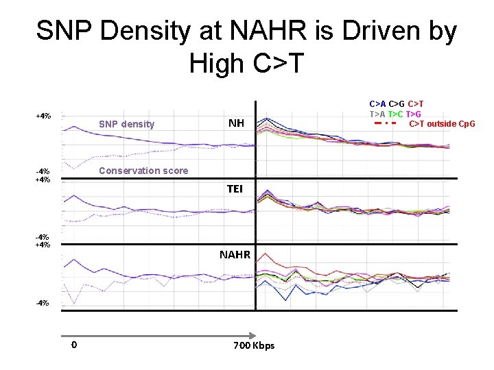 SNP Density at NAHR is Driven by High C>T +4% SNP density NH Conservation