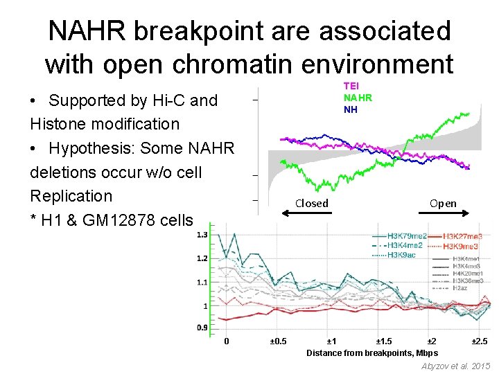 NAHR breakpoint are associated with open chromatin environment TEI NAHR NH • Supported by