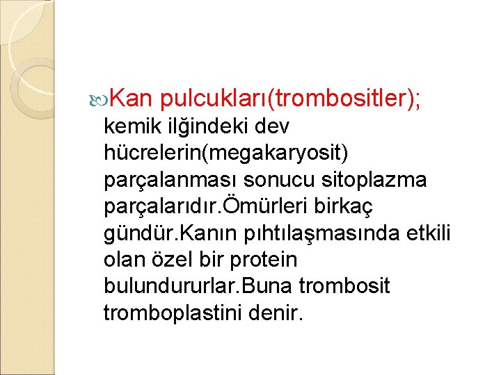  Kan pulcukları(trombositler); kemik ilğindeki dev hücrelerin(megakaryosit) parçalanması sonucu sitoplazma parçalarıdır. Ömürleri birkaç gündür.