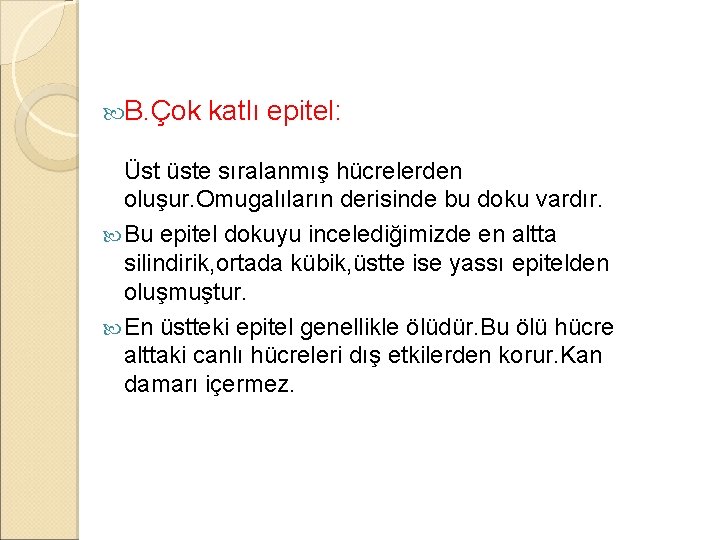  B. Çok katlı epitel: Üst üste sıralanmış hücrelerden oluşur. Omugalıların derisinde bu doku