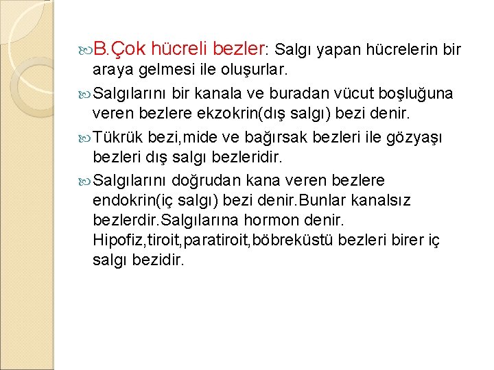  B. Çok hücreli bezler: Salgı yapan hücrelerin bir araya gelmesi ile oluşurlar. Salgılarını