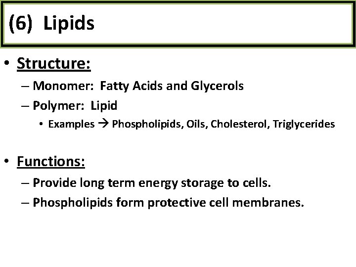 (6) Lipids • Structure: – Monomer: Fatty Acids and Glycerols – Polymer: Lipid •