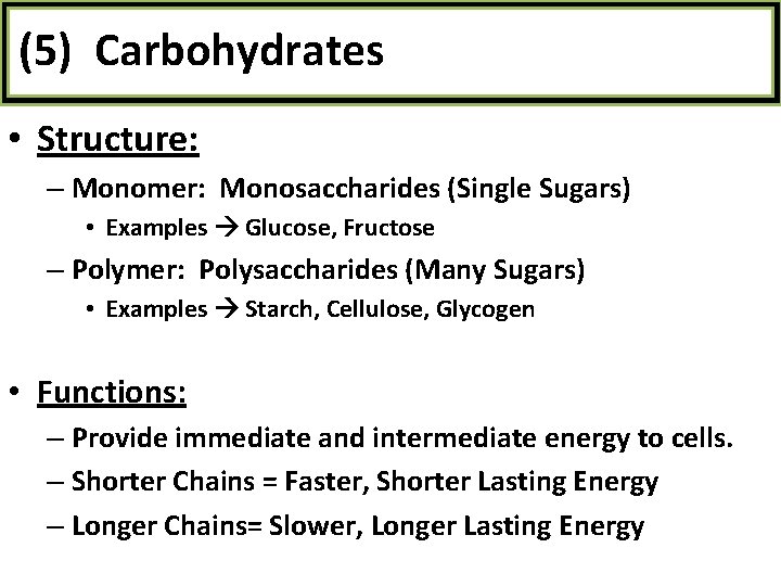 (5) Carbohydrates • Structure: – Monomer: Monosaccharides (Single Sugars) • Examples Glucose, Fructose –