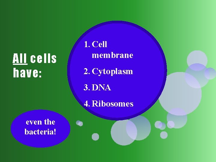 All cells have: 1. Cell membrane 2. Cytoplasm 3. DNA 4. Ribosomes even the