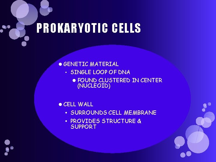 PROKARYOTIC CELLS GENETIC MATERIAL • SINGLE LOOP OF DNA FOUND CLUSTERED IN CENTER (NUCLEOID)