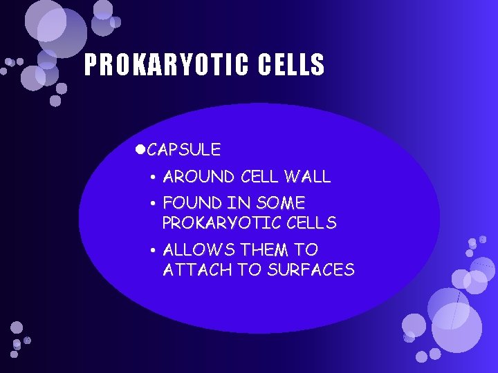 PROKARYOTIC CELLS CAPSULE • AROUND CELL WALL • FOUND IN SOME PROKARYOTIC CELLS •