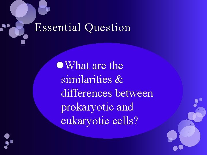Essential Question What are the similarities & differences between prokaryotic and eukaryotic cells? 