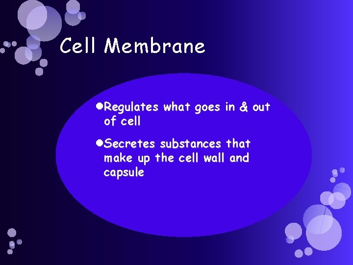 Cell Membrane Regulates what goes in & out of cell Secretes substances that make