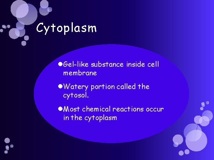 Cytoplasm Gel-like substance inside cell membrane Watery portion called the cytosol. Most chemical reactions