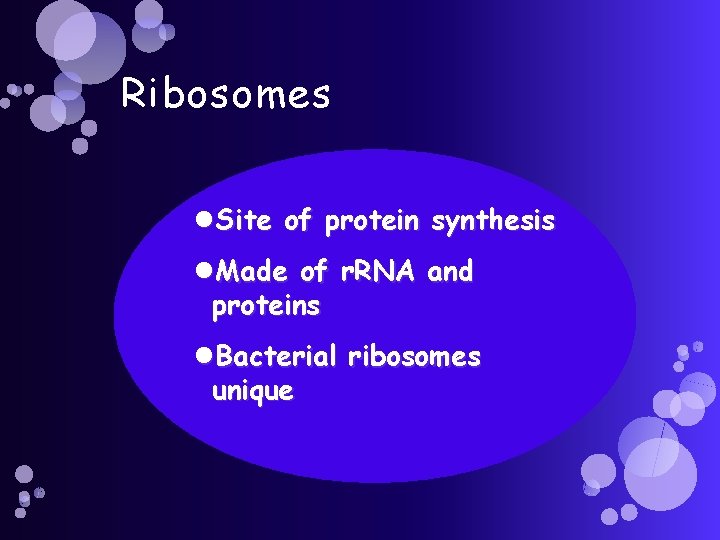 Ribosomes Site of protein synthesis Made of r. RNA and proteins Bacterial ribosomes unique