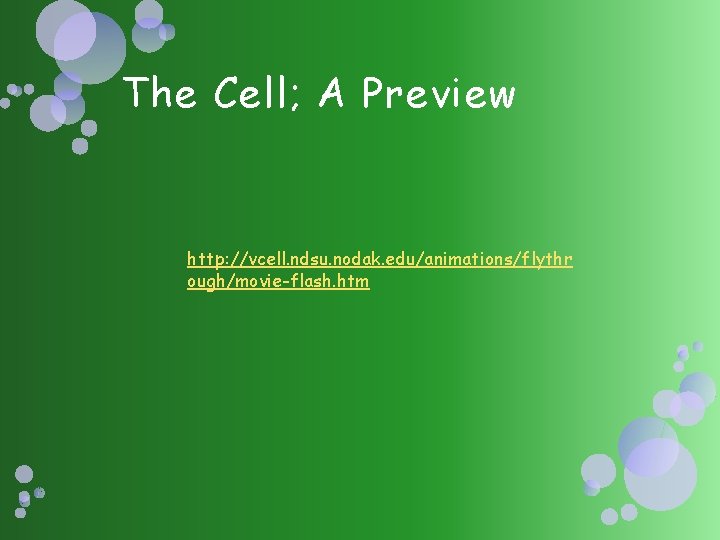 The Cell; A Preview http: //vcell. ndsu. nodak. edu/animations/flythr ough/movie-flash. htm 