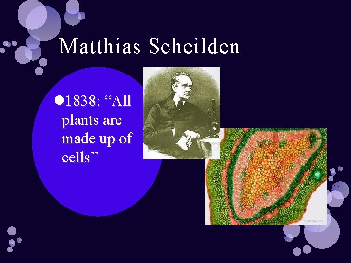 Matthias Scheilden 1838: “All plants are made up of cells” 