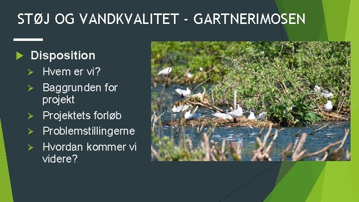 STØJ OG VANDKVALITET - GARTNERIMOSEN Disposition Ø Ø Ø Hvem er vi? Baggrunden for