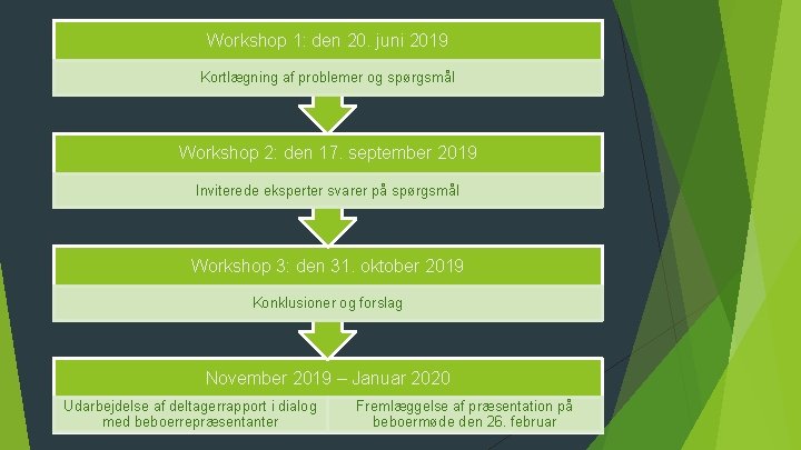 Workshop 1: den 20. juni 2019 Kortlægning af problemer og spørgsmål Workshop 2: den