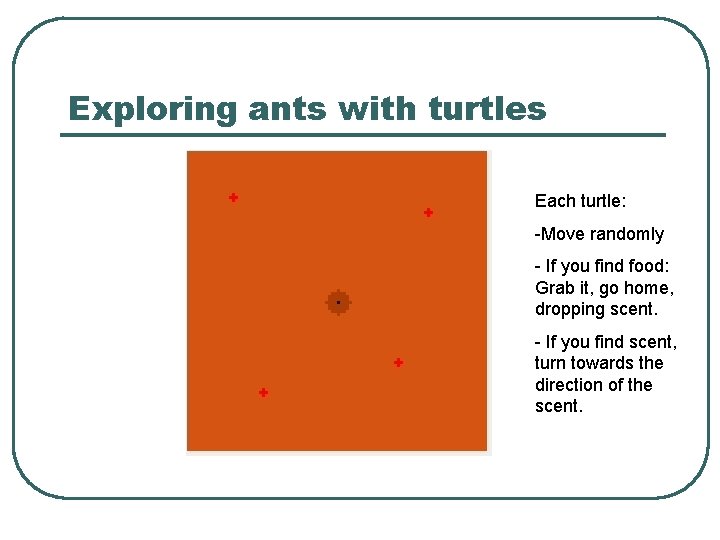 Exploring ants with turtles Each turtle: -Move randomly - If you find food: Grab