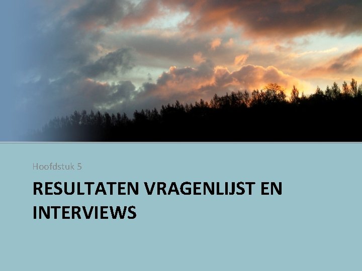 Hoofdstuk 5 RESULTATEN VRAGENLIJST EN INTERVIEWS 