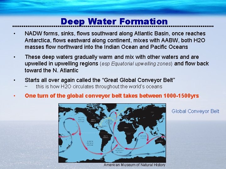 Deep Water Formation • NADW forms, sinks, flows southward along Atlantic Basin, once reaches