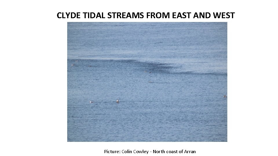 CLYDE TIDAL STREAMS FROM EAST AND WEST Picture: Colin Cowley - North coast of CLYDE TIDAL STREAMS FROM EAST AND WEST Picture: Colin Cowley - North coast of