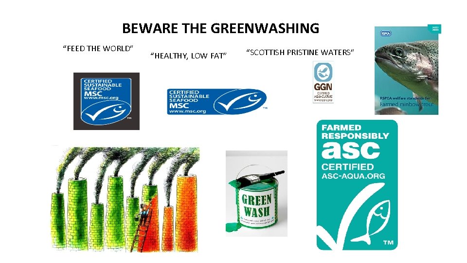 BEWARE THE GREENWASHING “FEED THE WORLD” “HEALTHY, LOW FAT” “SCOTTISH PRISTINE WATERS” BEWARE THE GREENWASHING “FEED THE WORLD” “HEALTHY, LOW FAT” “SCOTTISH PRISTINE WATERS”