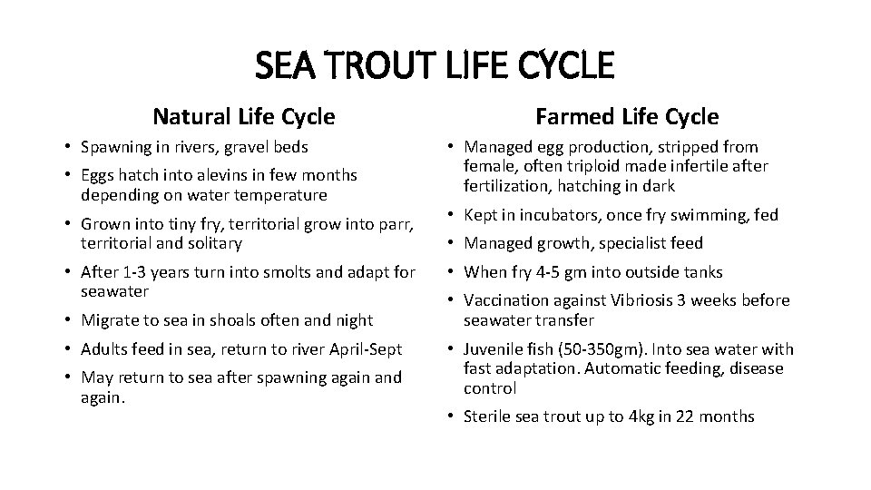SEA TROUT LIFE CYCLE Natural Life Cycle • Spawning in rivers, gravel beds Farmed SEA TROUT LIFE CYCLE Natural Life Cycle • Spawning in rivers, gravel beds Farmed
