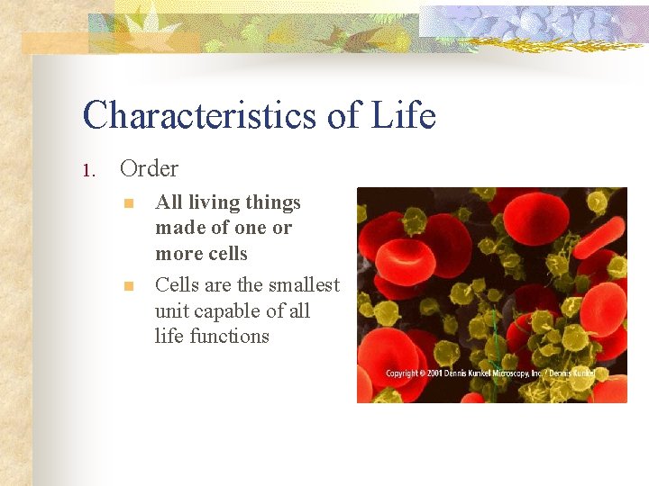 Characteristics of Life 1. Order n n All living things made of one or