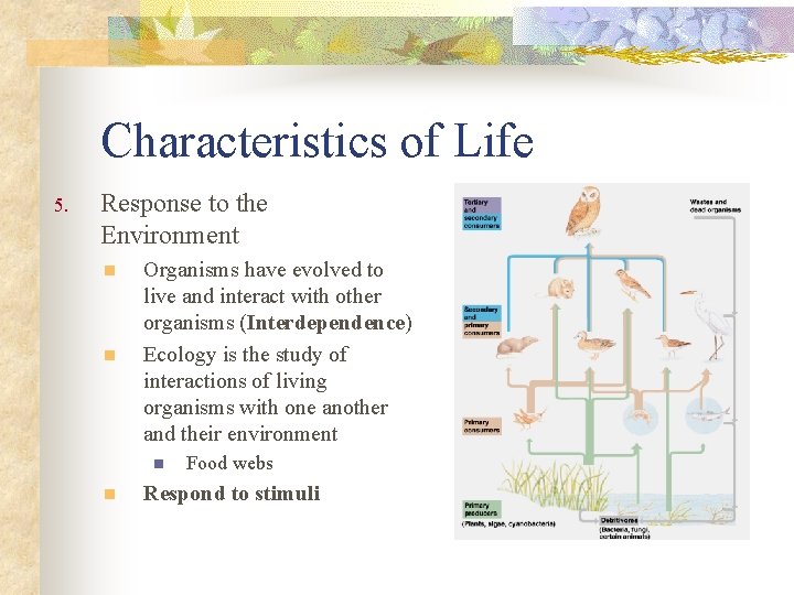 Characteristics of Life 5. Response to the Environment n n Organisms have evolved to