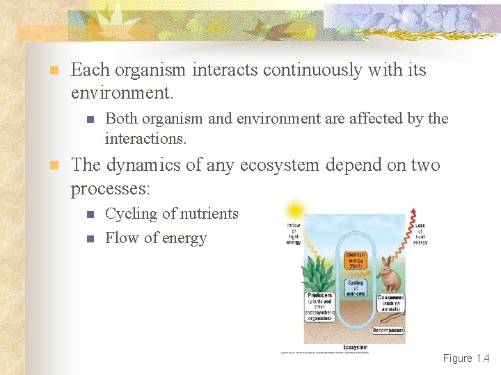 n Each organism interacts continuously with its environment. n n Both organism and environment