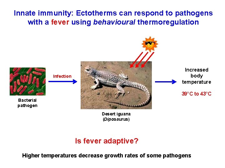 Innate immunity: Ectotherms can respond to pathogens with a fever using behavioural thermoregulation Increased