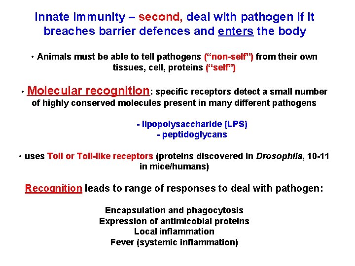 Innate immunity – second, deal with pathogen if it breaches barrier defences and enters