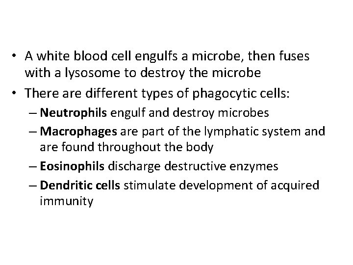  • A white blood cell engulfs a microbe, then fuses with a lysosome