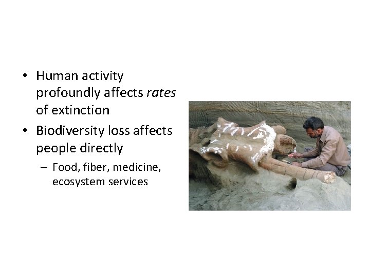  • Human activity profoundly affects rates of extinction • Biodiversity loss affects people