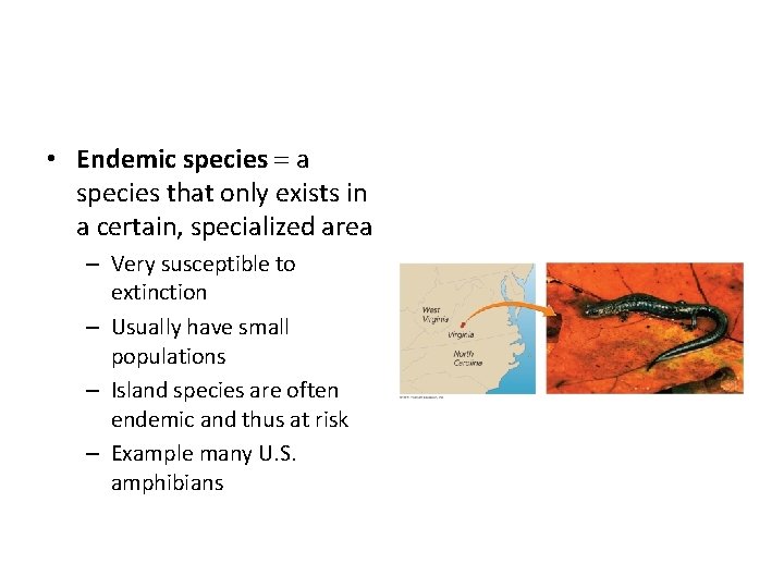  • Endemic species = a species that only exists in a certain, specialized