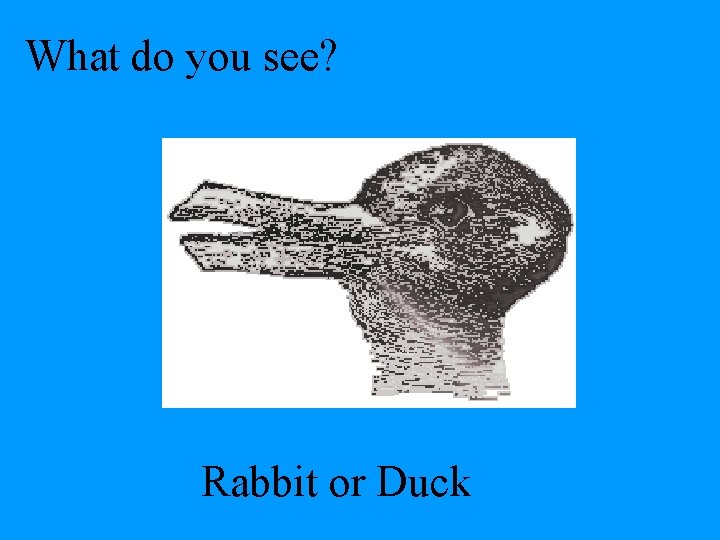 What do you see? Rabbit or Duck 