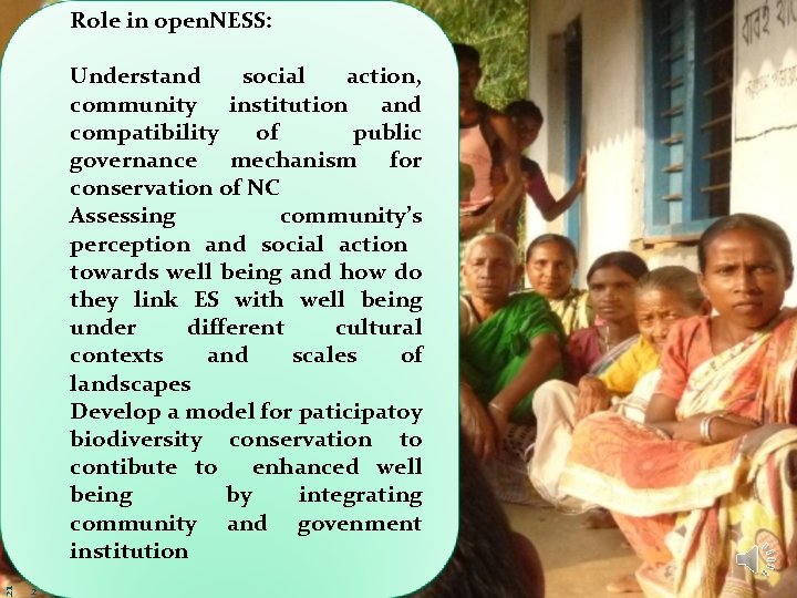 Role in open. NESS: 21 Firstname Surname, Organization Understand social action, community institution and