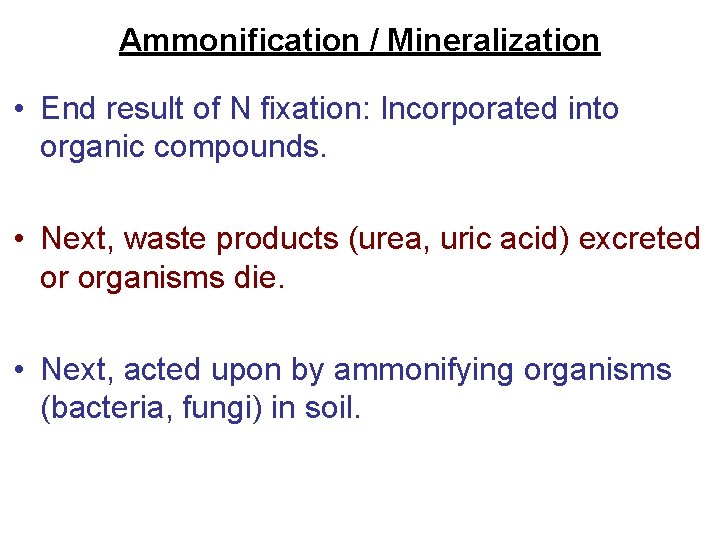 Ammonification / Mineralization • End result of N fixation: Incorporated into organic compounds. •